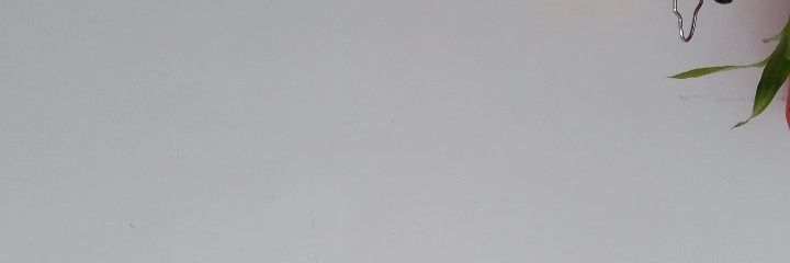 rainyandshiny's profile banner image