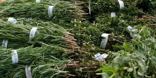 The Herb Box banner