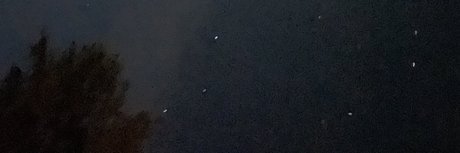 basiccitrus's profile banner image