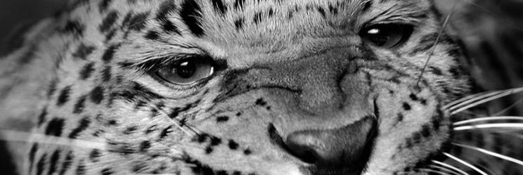 katepag4's profile banner image