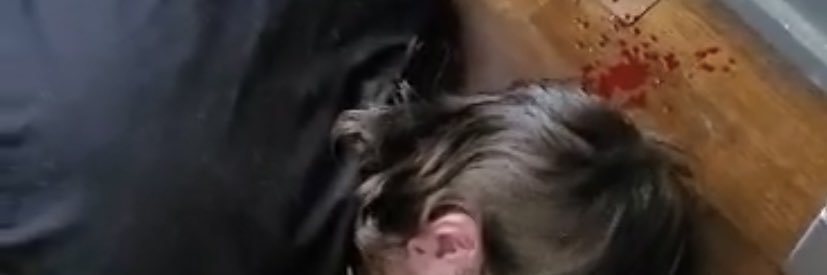 natureisviolent's profile banner image