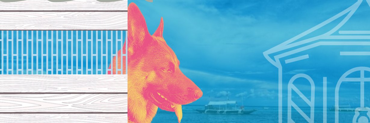ReverseTheLeon's profile banner image