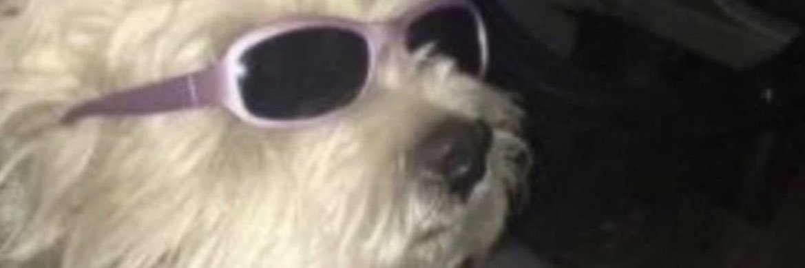 fraanboi's profile banner image