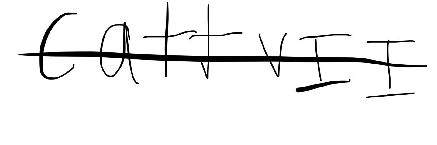CattVII banner