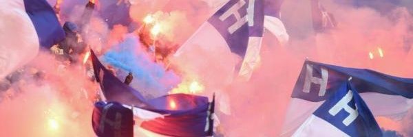 🦆 des ☠ banner