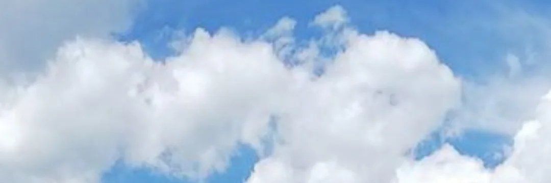 障がい児支援してる野球プレイヤー banner