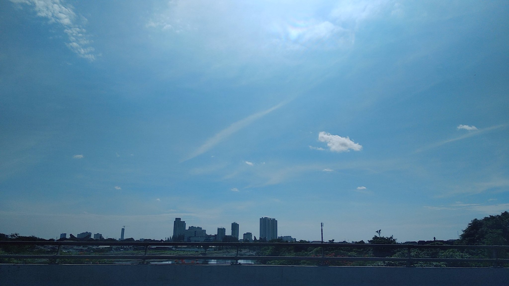 boncuMarley's profile banner image
