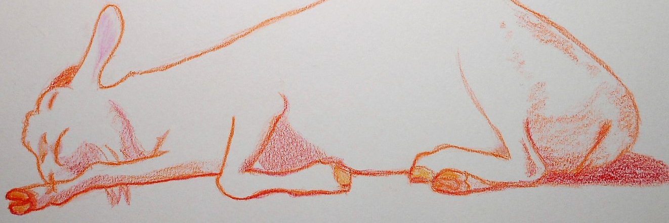 Ringoatcoen's profile banner image