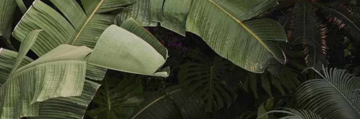 Rainyy__'s profile banner image