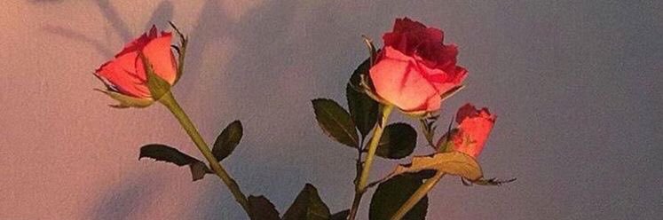 爱情女王 banner