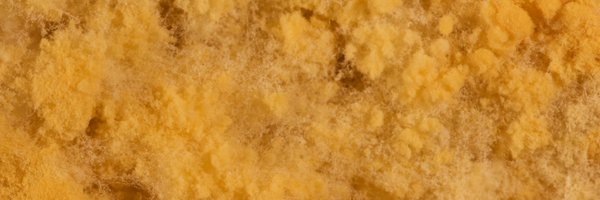 NOFOKitchen Profile Banner