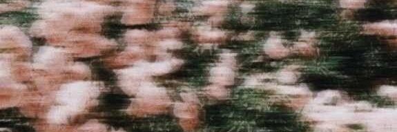imbrytantoco's profile banner image