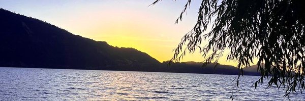 Catanto Profile Banner