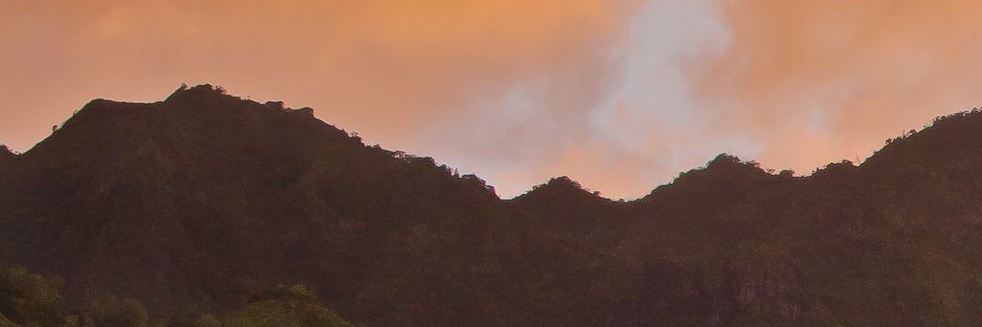 chloeorta's profile banner image