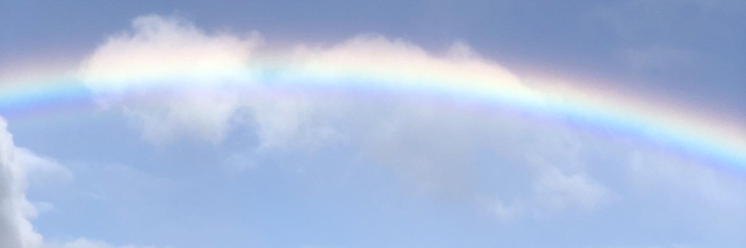 codellav's profile banner image