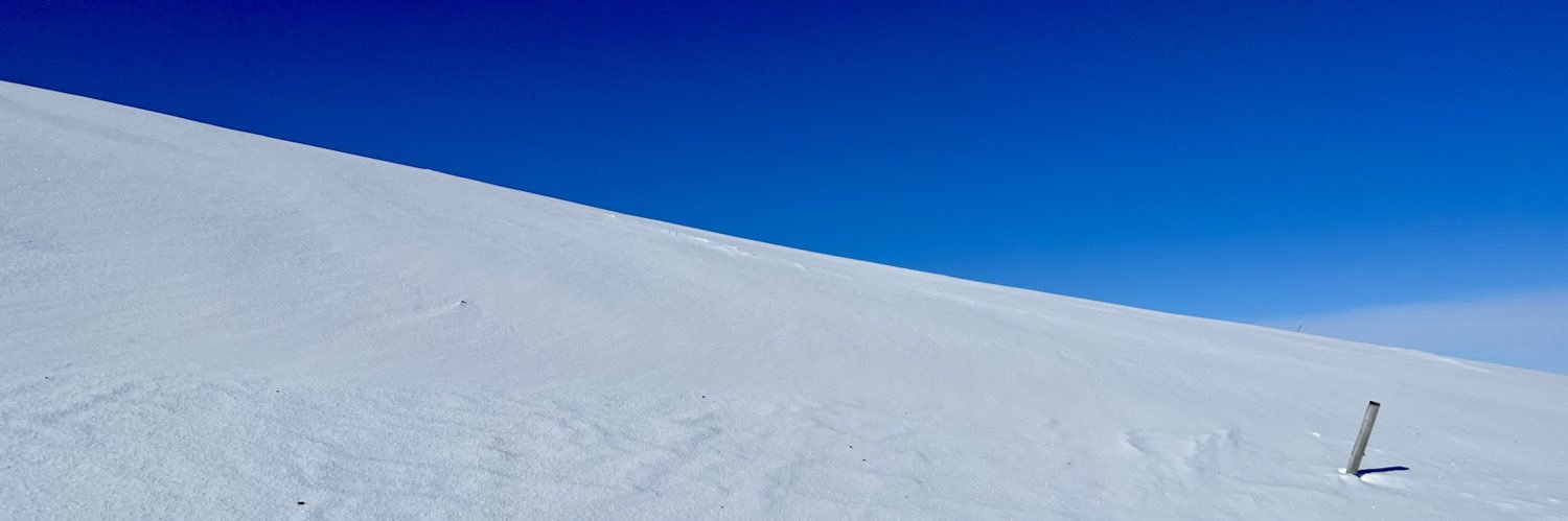 LeaRankinen's profile banner image