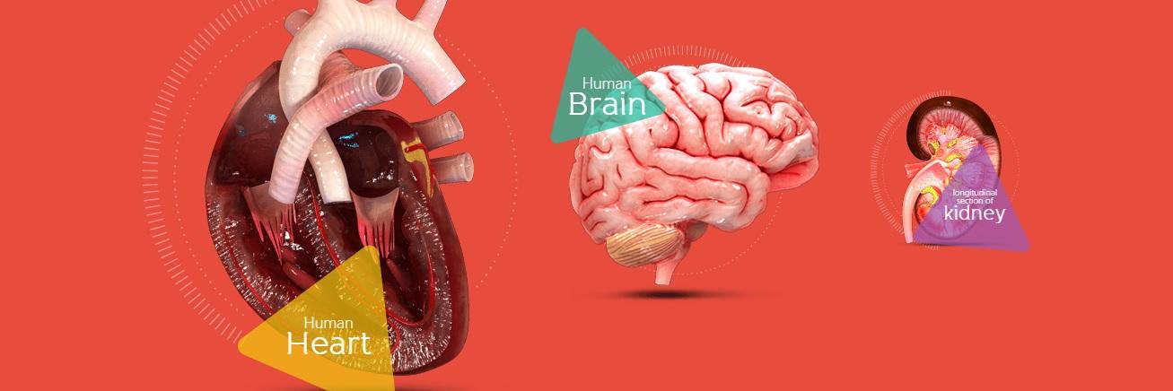 AugmenterApp's profile banner image