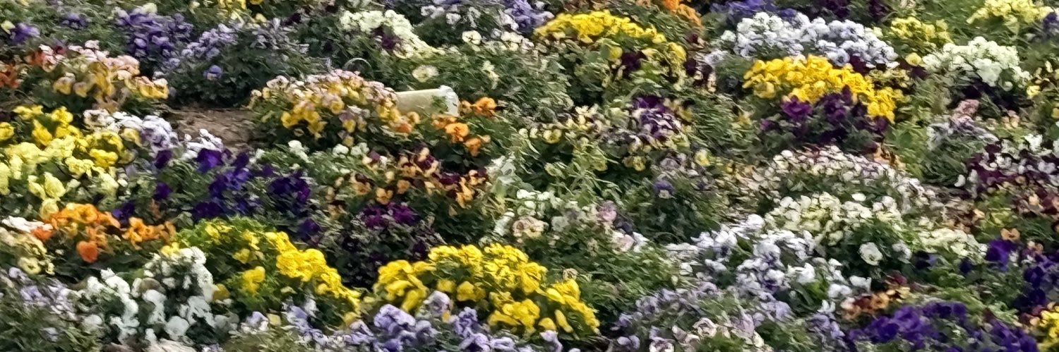 Kate A 🇬🇧🇳🇬 banner