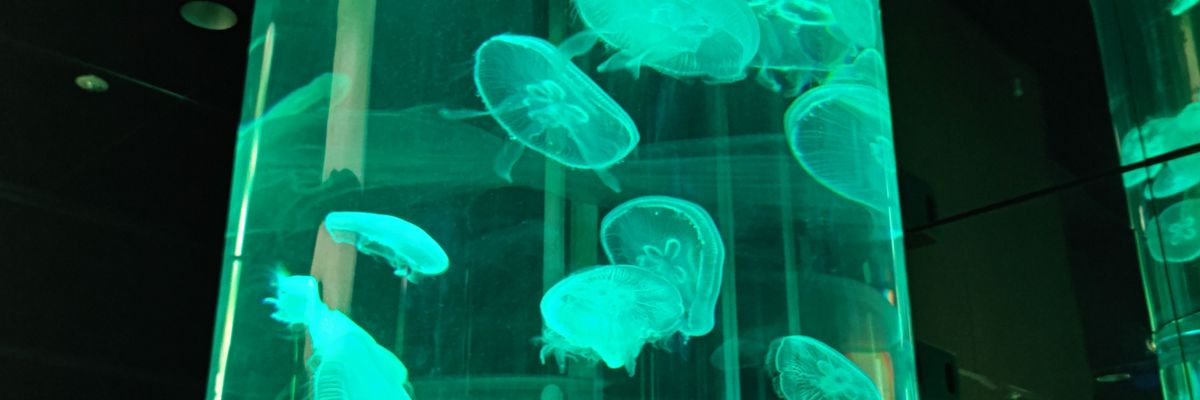 massa_gram's profile banner image