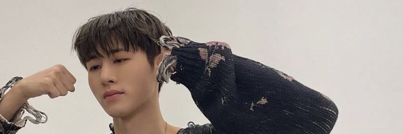 flytorifly's profile banner image