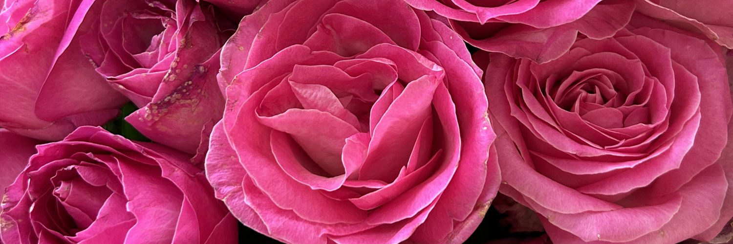 RSyafitriA's profile banner image