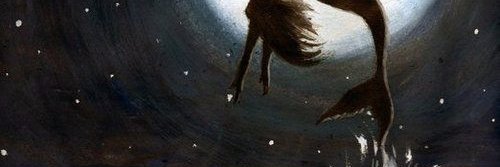 noblezashara's profile banner image