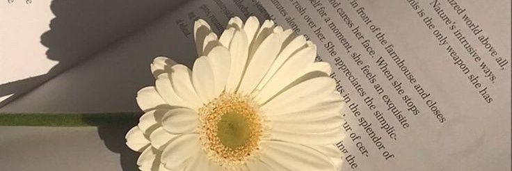 MaytnST's profile banner image