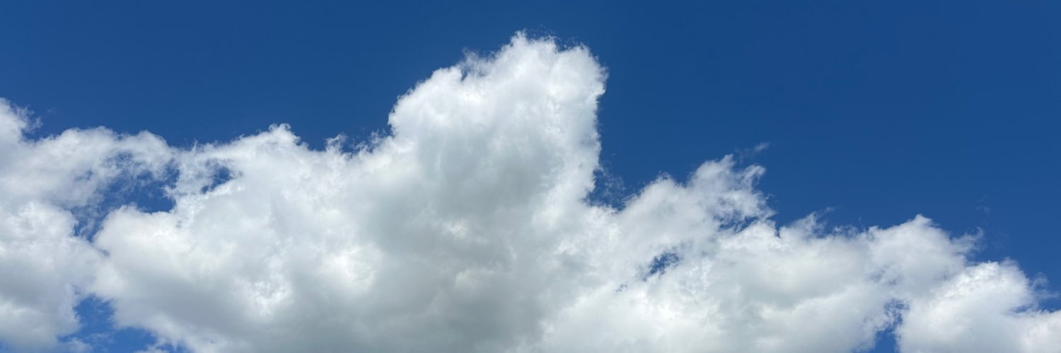 Nikolaus Habjan banner