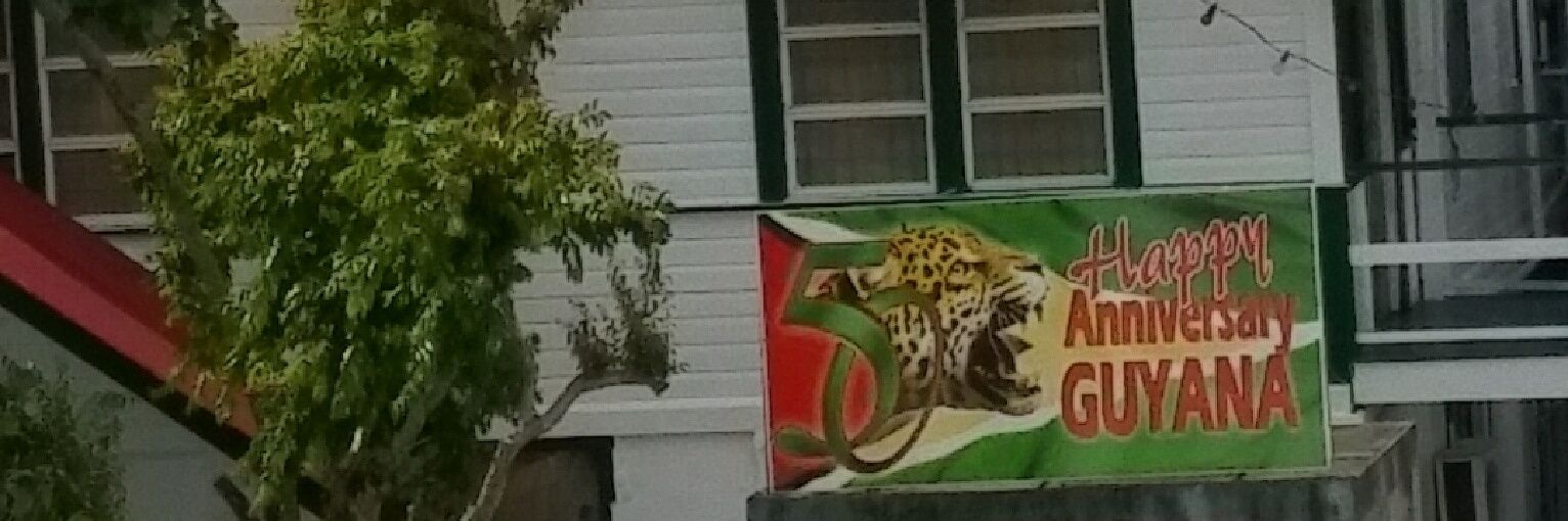 Shereeny123's profile banner image