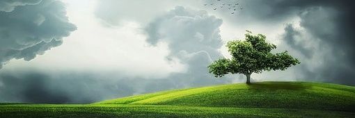 sanwebdra's profile banner image