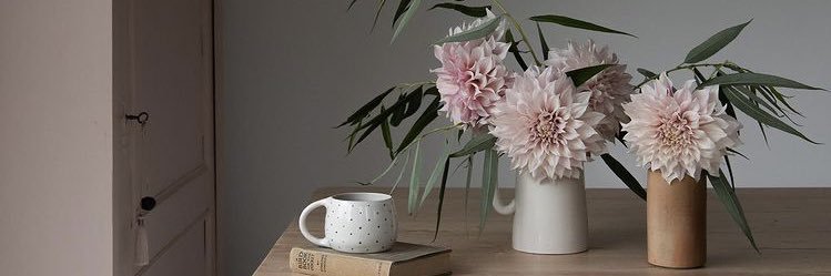 Kathefdzc's profile banner image