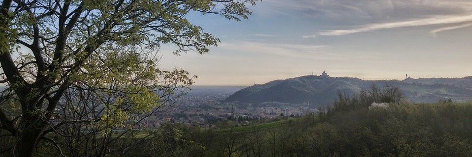 Andrea Santedicola banner