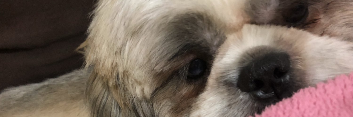 nujulia's profile banner image