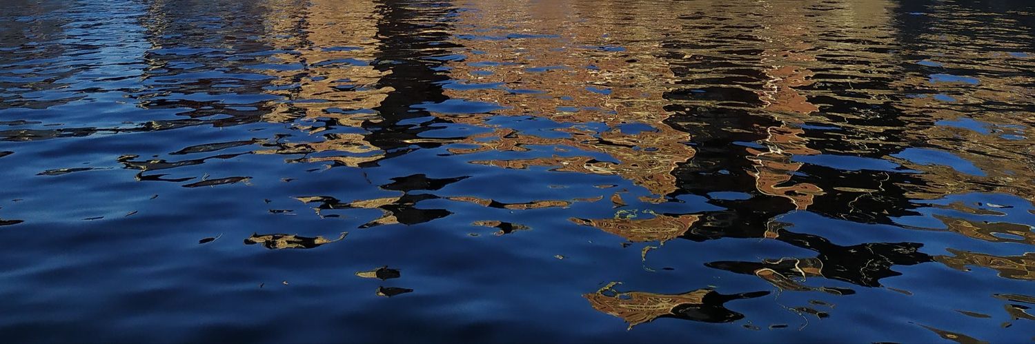 Van der Lotharingen banner