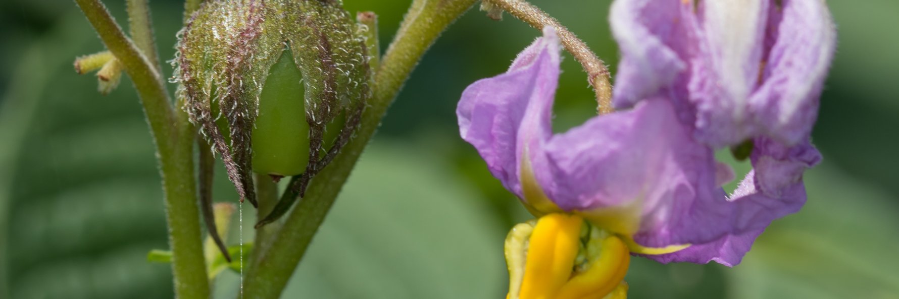 MariesElemans's profile banner image