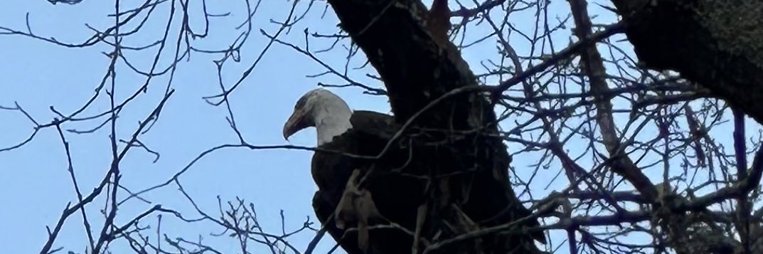 John Clem (ジョン・クレム) banner