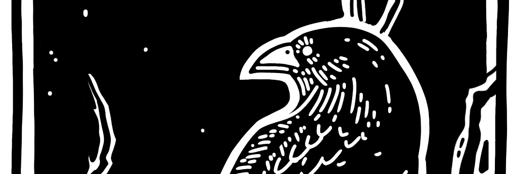 ChCl_37's profile banner image