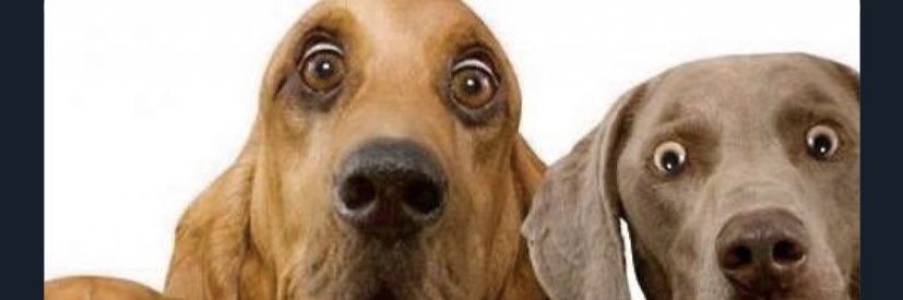 _ettinell's profile banner image