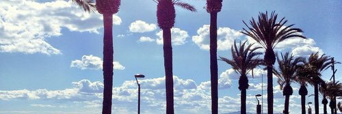 ashhockingxo's profile banner image