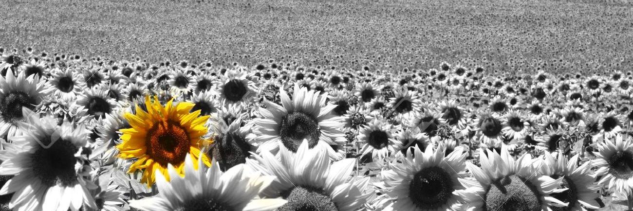 Mgh_95's profile banner image