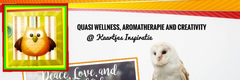 Blog_en_Webshop's profile banner image