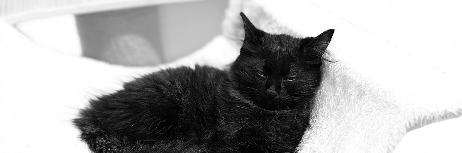 gho0sten's profile banner image