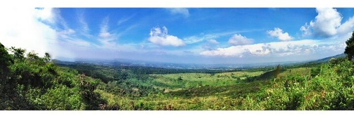nadyaevalina's profile banner image