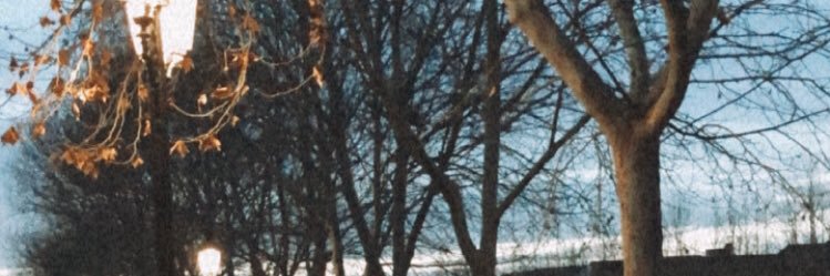 Ro🌷 banner