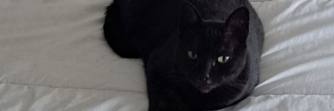 ARG_9_'s profile banner image