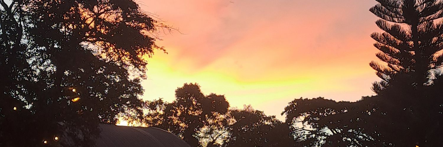 bluejoney's profile banner image