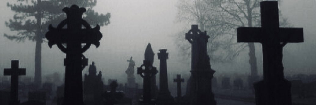 𝖇𝖊𝖙𝖍 🕸️🦷 banner