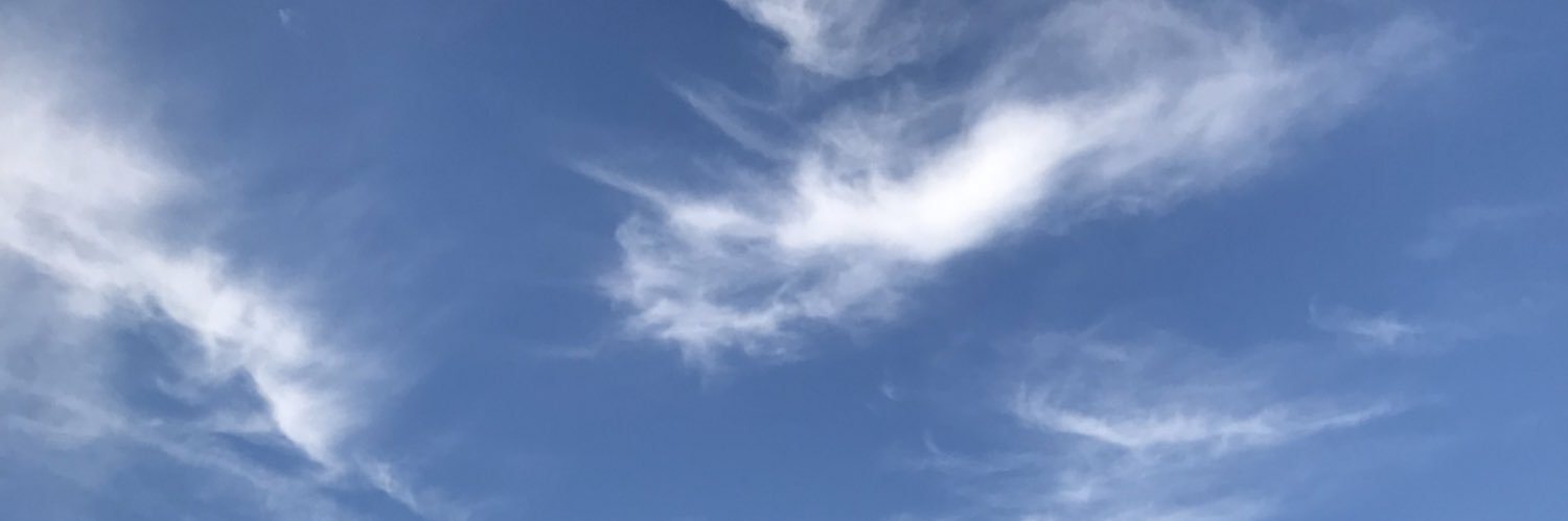 Eunice_Cheng's profile banner image