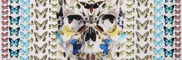 Baksissa Profile Banner