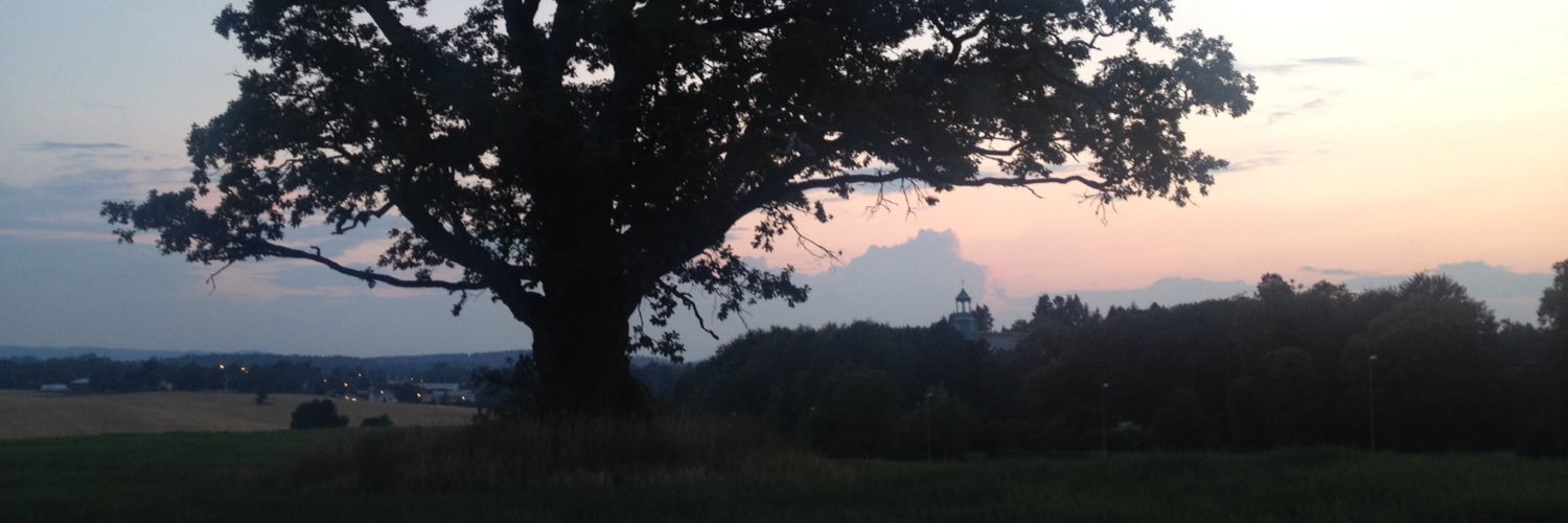 britadj's profile banner image